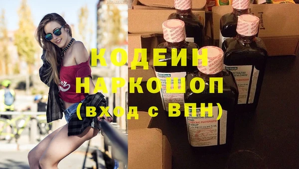 СК Каменка