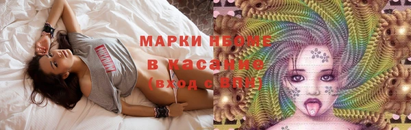 стафф Каменск-Шахтинский