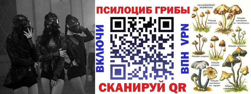 Псилоцибиновые грибы ЛСД  Купить  Спасск-Рязанский 
